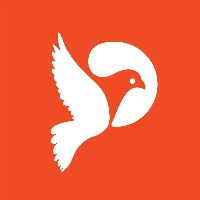 Creative Pigeon Avatar