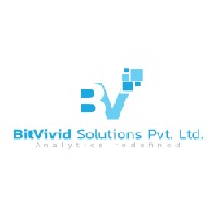 Bitvivid Solutions Private Limited Avatar