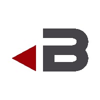 BRIDCON Business & Management Consulting Avatar
