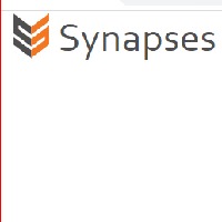 Synapses IT Solution Avatar