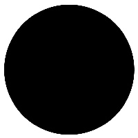 Circle Digital Avatar