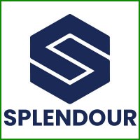 Splendour Group- A Complete Digital Marketing Agency Providing Business-Oriented Services