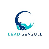 Lead Seagull  Avatar