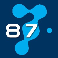 87 Labs Avatar