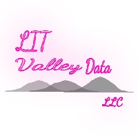 LIT Valley Data LLC Avatar