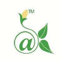 NETKATHIR TECHNOLOGIES Avatar