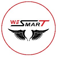 We Smart Avatar