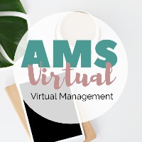 AMS Virtual. LLC Avatar