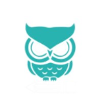Epic Owl Avatar
