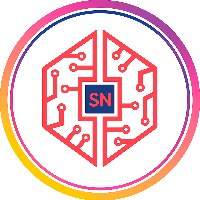 SoftNursery LLC - Global Software Development Agency Avatar