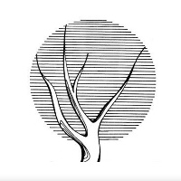 Adwoods Design Inc Avatar