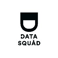 DataSquad Avatar