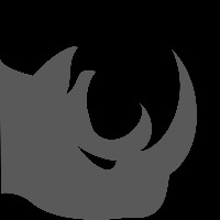 Rhino Creative Avatar
