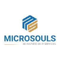 MicroSouls Avatar