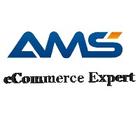 AMS Avatar