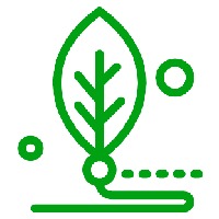SOMA A.I Avatar