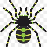 YellowSpider Avatar
