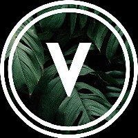 Vizovo Avatar