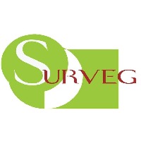 Surveg Consultancy Avatar