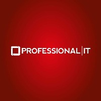 Professional IT Avatar