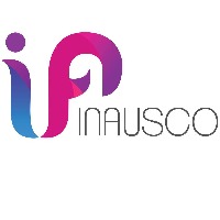 INAUSCO DIGITAL PRIVATE LIMITED Avatar