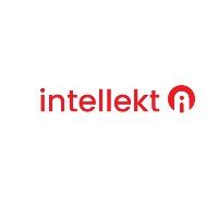 Intellekt AI LLP Avatar