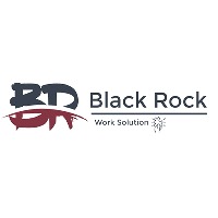 BR Work Solution Avatar