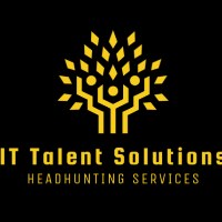 IT Talent Solutions Avatar