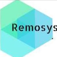 Remosys Avatar