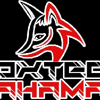 Foxtech Bahamas Avatar