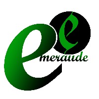 EEMERAUDE AGENCY Avatar
