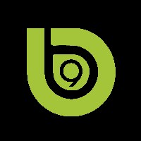B9 Solutions Avatar