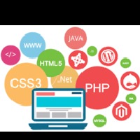 Web and Android Developer Avatar