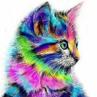 Codycats Agency Avatar