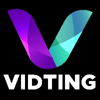 Vidting Avatar