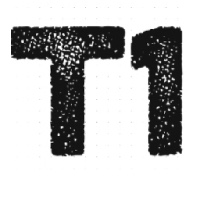 T1 International Consulting Avatar