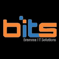 BITS Avatar