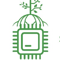 Mangrove Software & IT Avatar
