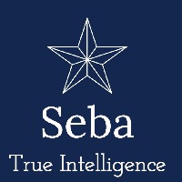 Seba Avatar