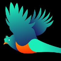 Quetzal Data Avatar