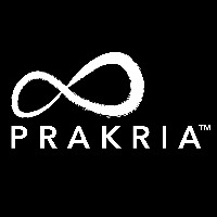 PRAKRIA Marketing Services Pvt. Ltd. Avatar