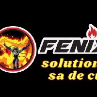 Fenix solutions Avatar