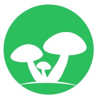 Fourthroots Technolgies Avatar