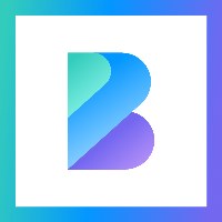 BigBrainy Infotech Avatar