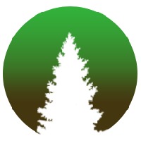 Spruce Advisory Avatar
