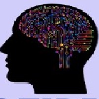 Cognozire LLP Avatar