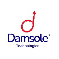 Damsole Avatar