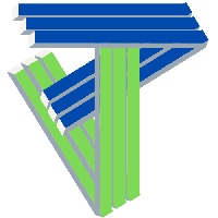 Torsan Avatar