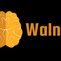 Walnut Yazilim Limited Sirketi Avatar