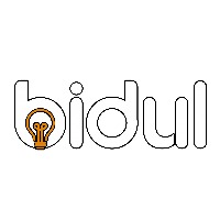 Bidul Agency Avatar